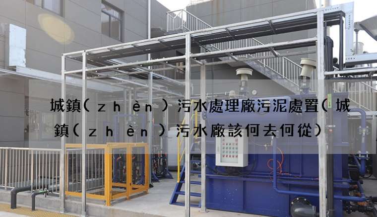 城鎮(zhèn)污水處理廠污泥處置(城鎮(zhèn)污水廠該何去何從)